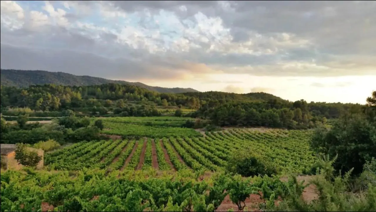 Les Voltes I - 2Bd Hidden Gem In Hilltop Wine Village Barbara 0*,  Spain
